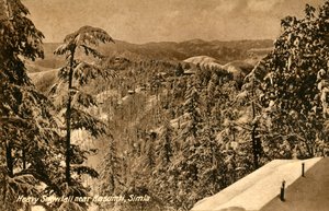 Voimakas lumisade lähellä Kasumptia, Shimla, c1918-c1939. tekijältä Unbekannt