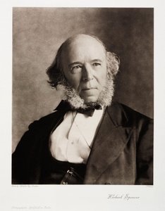 Herbert Spencer, englantilainen yhteiskuntafilosofi tekijältä Unbekannt