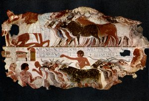 Nautakarja 18. dynastian ajalta, Egypti, n. 1400 eKr. 1936 tekijältä Unbekannt