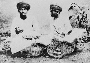 Hindu hedelmämyyjät, Intia, 1900-luku tekijältä Unbekannt