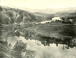 Hop Gardens Tasmaniassa, 1901. tekijältä Unbekannt
