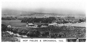Humalapellot ja hedelmätarhat, Tasmania, Australia, 1928 tekijältä Unbekannt