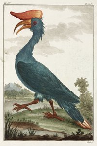 Hornbill tekijältä Unbekannt
