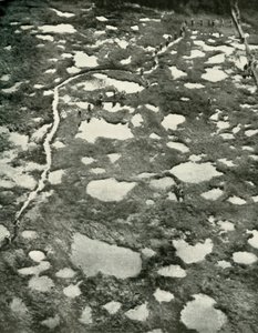 Kuinka sää esti edistymistä, 1919. tekijältä Unbekannt