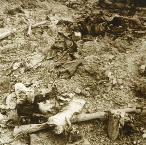 Ihmisjäännökset, Verdun, Pohjois-Ranska, c1914-c1918 tekijältä Unbekannt