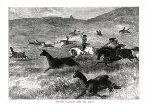 Guanakoiden metsästys bolojen kanssa, Etelä-Amerikka, 1877 tekijältä Unbekannt
