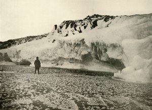 Jääkukat äskettäin muodostuneella merijäällä varhain talvella, c1908, 1909. tekijältä Unbekannt