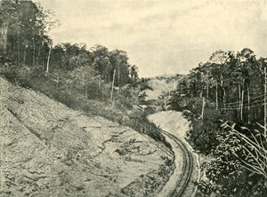 Blackall Rangesissa, 1901. tekijältä Unbekannt