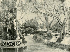 Kasvitieteellisessä puutarhassa, Adelaidessa, 1901. tekijältä Unbekannt