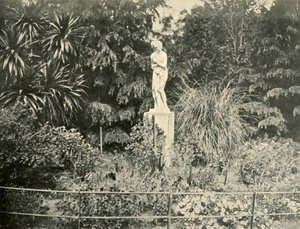 Fitzroy Gardensissa, Melbournessa, 1901. tekijältä Unbekannt