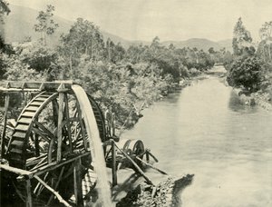 In the Ovens River, Germantown, 1901. tekijältä Unbekannt