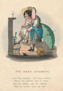 Olen ollut roamingilla, 1828. tekijältä Unbekannt