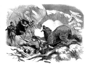 Jack Curlingsin kapea pako raivokkaasta karhusta, 1855 tekijältä Unbekannt