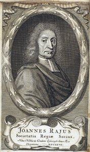 John Ray (Wray), englantilainen luonnontieteilijä, n. 1700 tekijältä Unbekannt