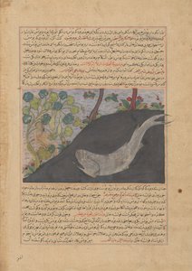 Jonah and the Whale, Folio Majma