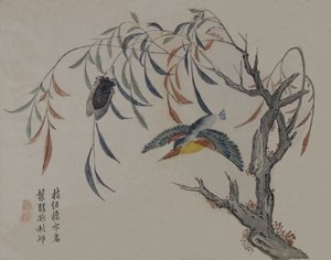 Kingfisher, Cigarra i Willow Tree, segle XIX. finlandès tekijältä Unbekannt