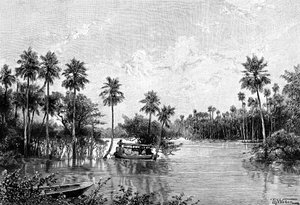 Las Palmes Lagunas, lähellä Pilcomayon suuta, 1895 tekijältä Unbekannt