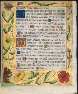 Lehti psalterista ja rukouskirjasta: Koristereunus kukilla ja orava verso, n. 1524. tekijältä Unbekannt