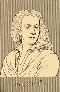 Linne, 1707-1778, 1830. tekijältä Unbekannt