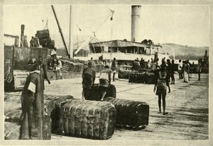 Puuvillalastin lastaus, vuodelta 1948. tekijältä Unbekannt