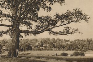 Katse Caen Woodin vihreiltä rinteiltä kohti Old Highgaten kirkontornia, vuodelta 1935. tekijältä Unbekannt