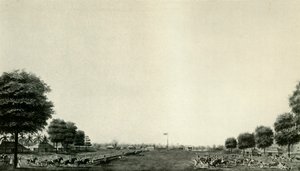 Lord Wellesley tarkastelee henkivartijaa Ballygungessa, c1770, c19250. tekijältä Unbekannt