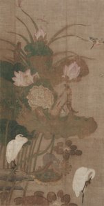 Lootukset, hyönteiset ja linnut, 1800-luku. tekijältä Unbekannt