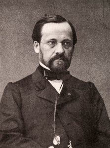 Louis Pasteur, ranskalainen mikrobiologi ja kemisti, 1800-luku tekijältä Unbekannt