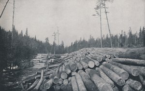 Metsätyö, 1924 tekijältä Unbekannt