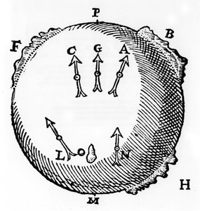 Magnetismi, 1600 tekijältä Unbekannt