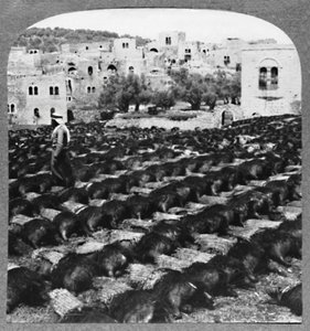 Viinipullojen valmistus, Hebron, c1900 tekijältä Unbekannt