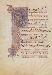 Käsikirjoituslehti folioituneella alkukirjaimella P, antifonaarista, italia, n. 1250-60. tekijältä Unbekannt