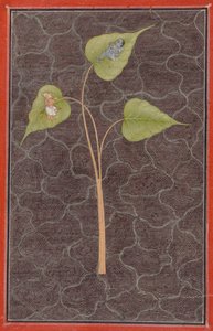 Markandeya katselemassa Krishnaa kosmisella valtamerellä, n. 1680. tekijältä Unbekannt