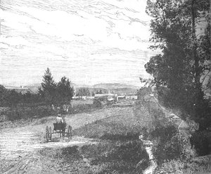 Market Street, Pretoria, 1880-luku tekijältä Unbekannt