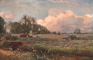 Meadow Sweets, 1893, c1902. tekijältä Unbekannt