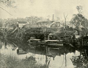 Meat Works, lähellä Graftonia, New South Wales, 1901. tekijältä Unbekannt