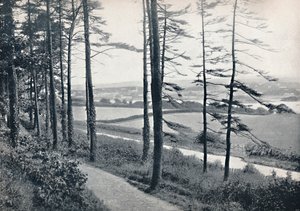 Menai - Bangor Woodista, 1895 tekijältä Unbekannt