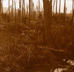 Mount Kemmel, Flanderi, Belgia, c1914-c1918 tekijältä Unbekannt