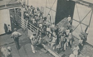 Alkuasukkaat lastaamassa banaaneja Kingstonissa, Jamaikalla, laulavat skotlantilaisia psalmeja, 1937 tekijältä Unbekannt