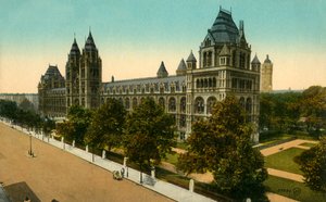 Natural History Museum, Lontoo, 1910. tekijältä Unbekannt
