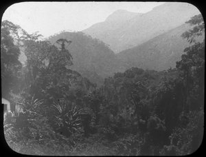 Lähellä Petrópolista, Rio de Janeiro, Brasilia, 1800-luvun loppu tai 1900-luvun alku tekijältä Unbekannt