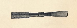 Muista Ray d, 1895. tekijältä Unbekannt