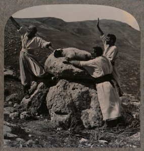 Karitsan uhraus alttarilla, Moreh, n. 1900 tekijältä Unbekannt