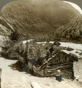 Vanhoja hirsitaloja Bratslandsdalissa, jossa puut kasvavat turvekatoilla, Norja, c1905. tekijältä Unbekannt