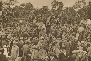 Yksi sivilisaatiomme merkeistä: hyvin varustetut eläintarhat ilahduttaaksesi uteliaita, c193 tekijältä Unbekannt