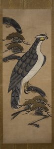 Otsu-e of Falcon mäntyllä, 1700-luku. tekijältä Unbekannt