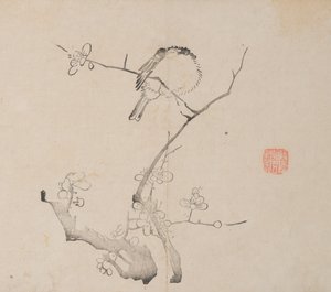 Page from Shi Zhu Zhai Shu hua pu.  tekijältä Unbekannt