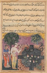 Sivu elokuvasta Tales of a Parrot Tuti-nama: Kahdeksantoista yö: Prinssi, n. 1560. tekijältä Unbekannt