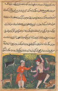 Sivu elokuvista Tales of a Parrot Tuti-nama: Kahdeksantoista yö: Prinssi tapaa..., n. 1560. tekijältä Unbekannt