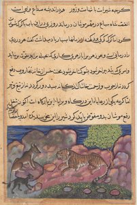 Sivu julkaisusta Tales of a Parrot Tuti-nama: Viidestoista yö: Susi neuvoo leijonaa..., 1558-1560. tekijältä Unbekannt